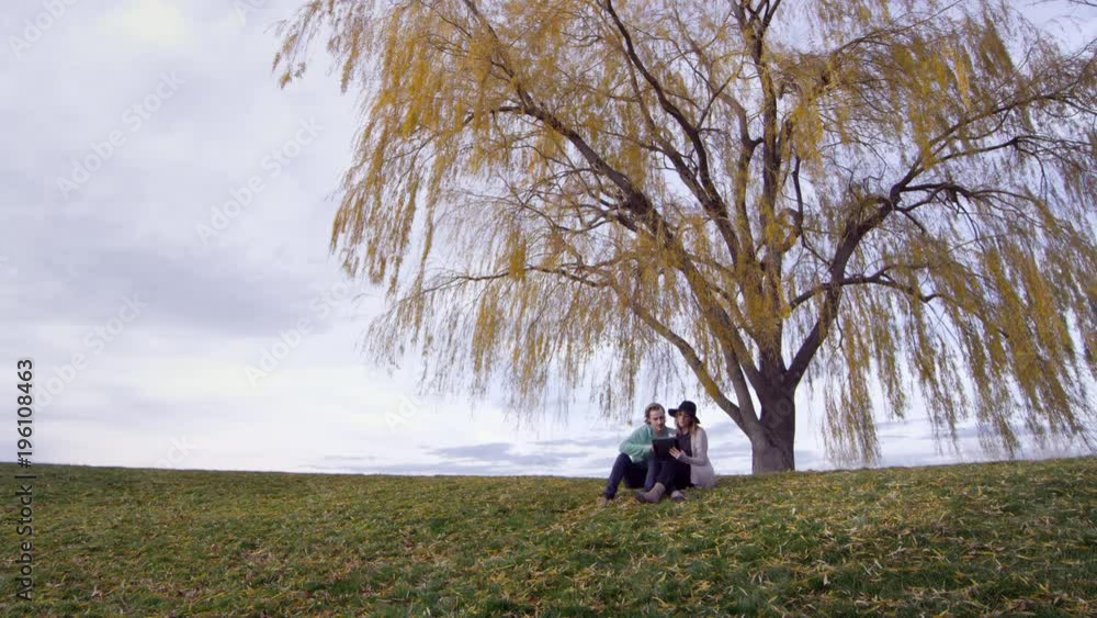 View of man and woman sitting under golden tree on hilltop talking while looking at tablet. View of man and woman sitting under golden tree on hilltop talking while looking at tablet.