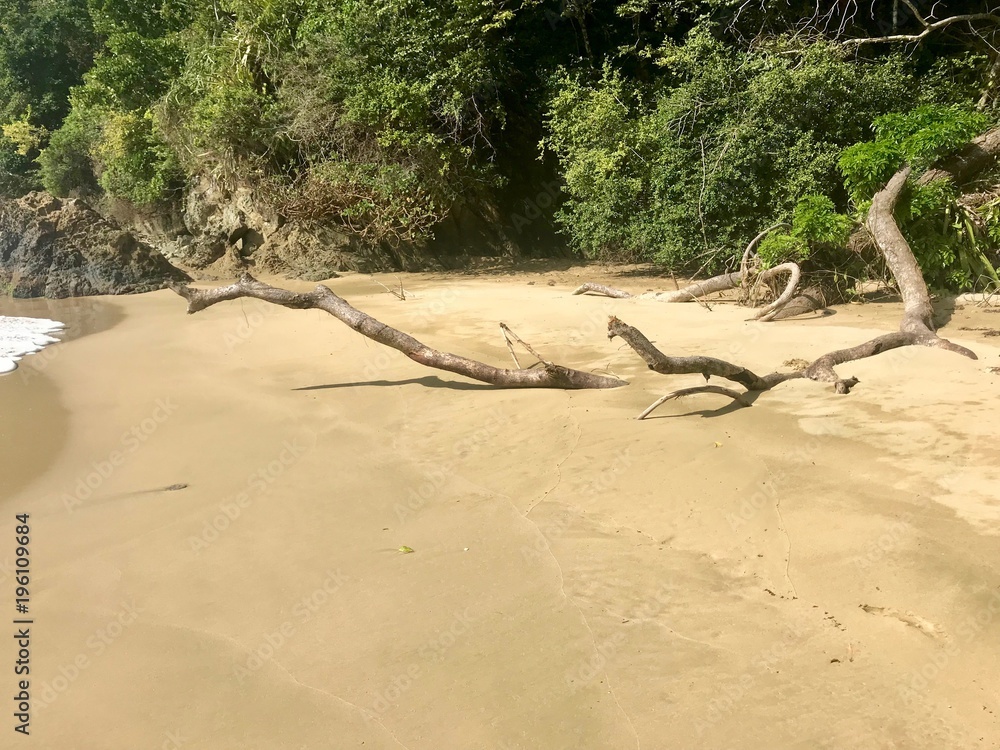 Φωτογραφία Large piece of driftwood (limb of a tree) at idyllic Pirate's Bay with untouched