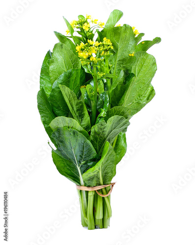 Brassica rapa on white background