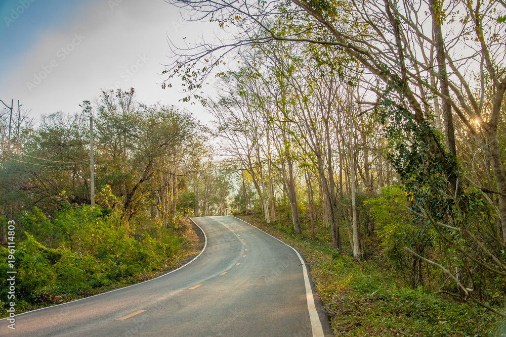 Fototapeta premium Road