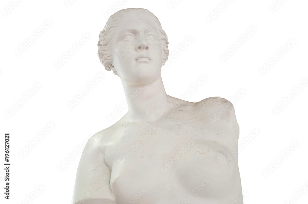 女性石膏像 | stemily.org