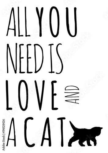 All You Need Is Love And A Cat Katze Haustier