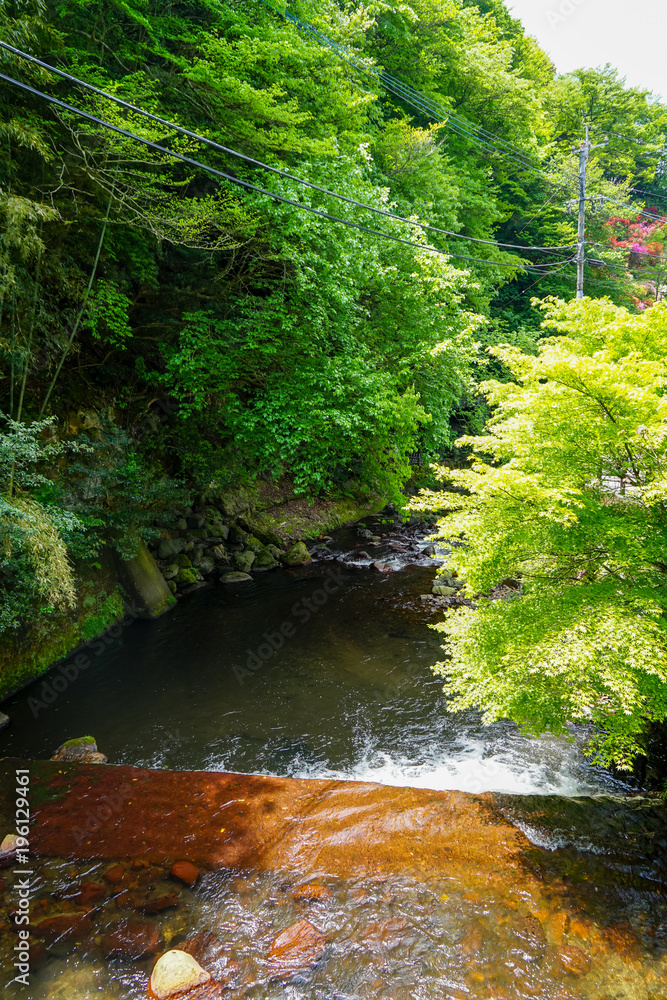 Fototapeta premium View of natural fresh flowing spring stream with stone bank through light glowing green maple trees and forest shadow on stone bank in Kurokawa onsen town