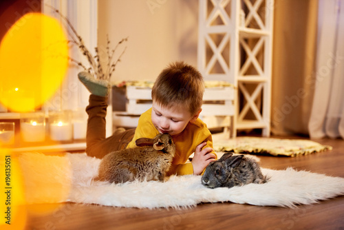 Little boy with rabbits. Young boy lying on a white furry carpet with two grey rabbits. Children and animals