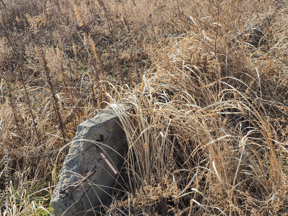 Obraz premium がれき