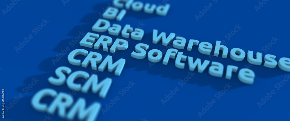 Naklejka premium ERP Software Grafik