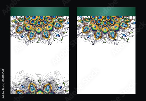 Peacock feathers, vector design of cover