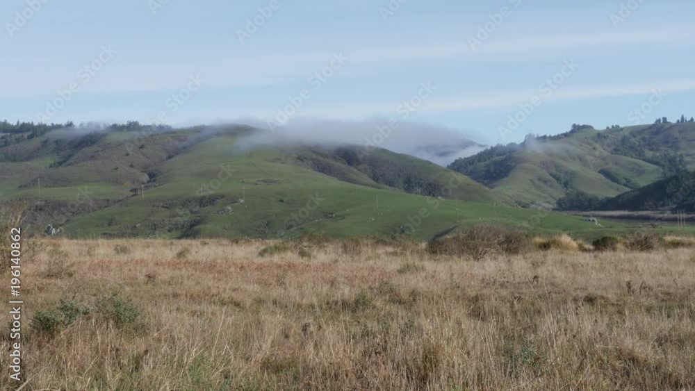 A coastal meadow next to the Russian River, California A coastal meadow next to the Russian River, California