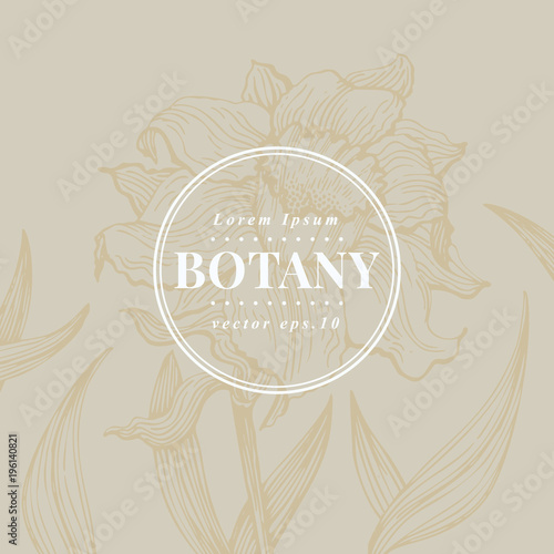 Hand drawn vintage narcissus. Vector blooming flower. Botanical banner template. Can be use for wedding invitations and greeting cards, page decoration, packaging.