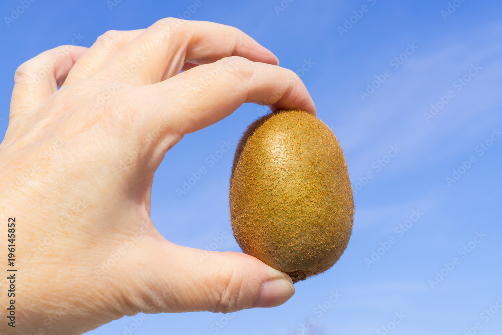 Kiwi fruit holding in hand, blue sky background