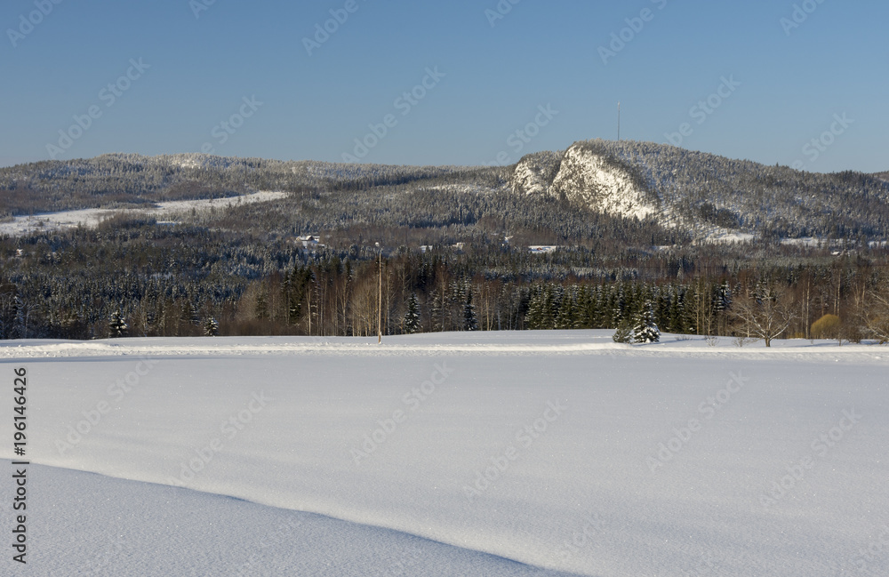 Snowy field with with forest and mountain in background.