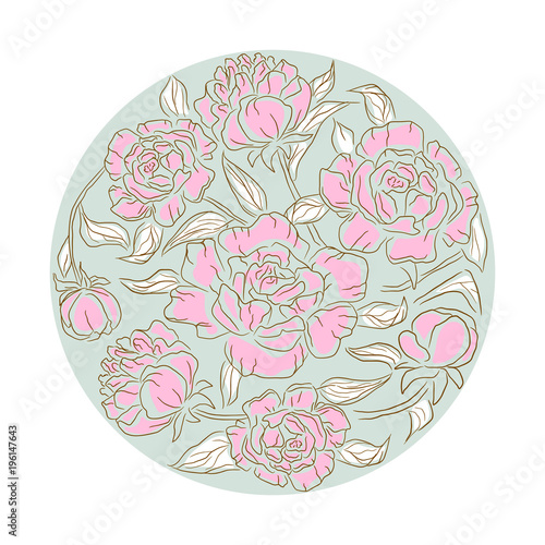 Peonies flower rosette vector isolated composition. photo