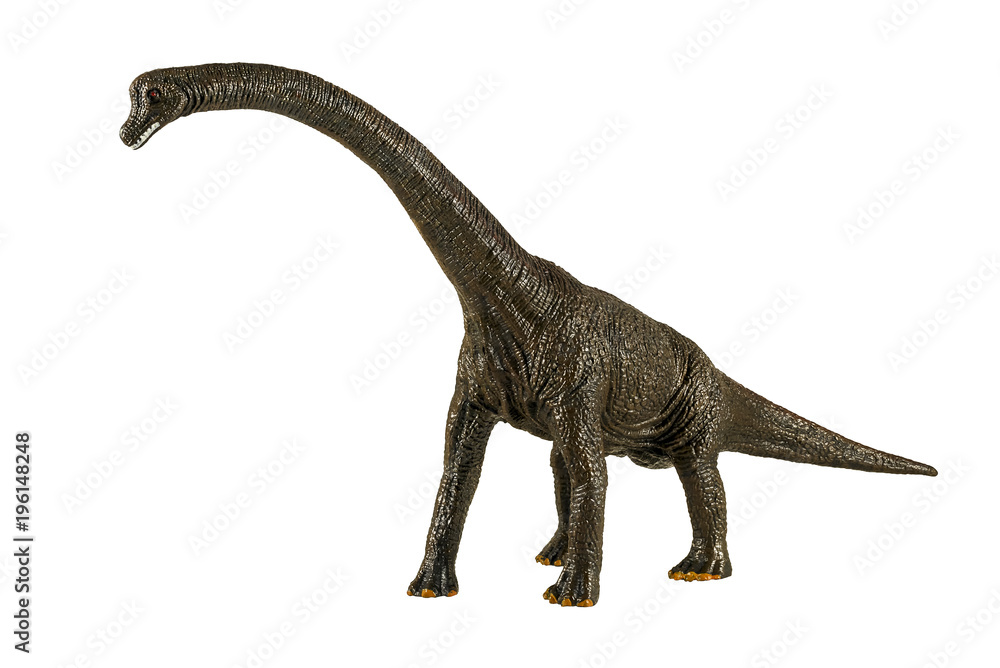Toy models of dinosaurs Toy models of dinosaurs