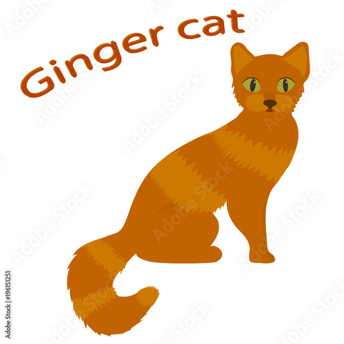 Cat. Cartoon ginger cat isolated on white background. Vector illustration.