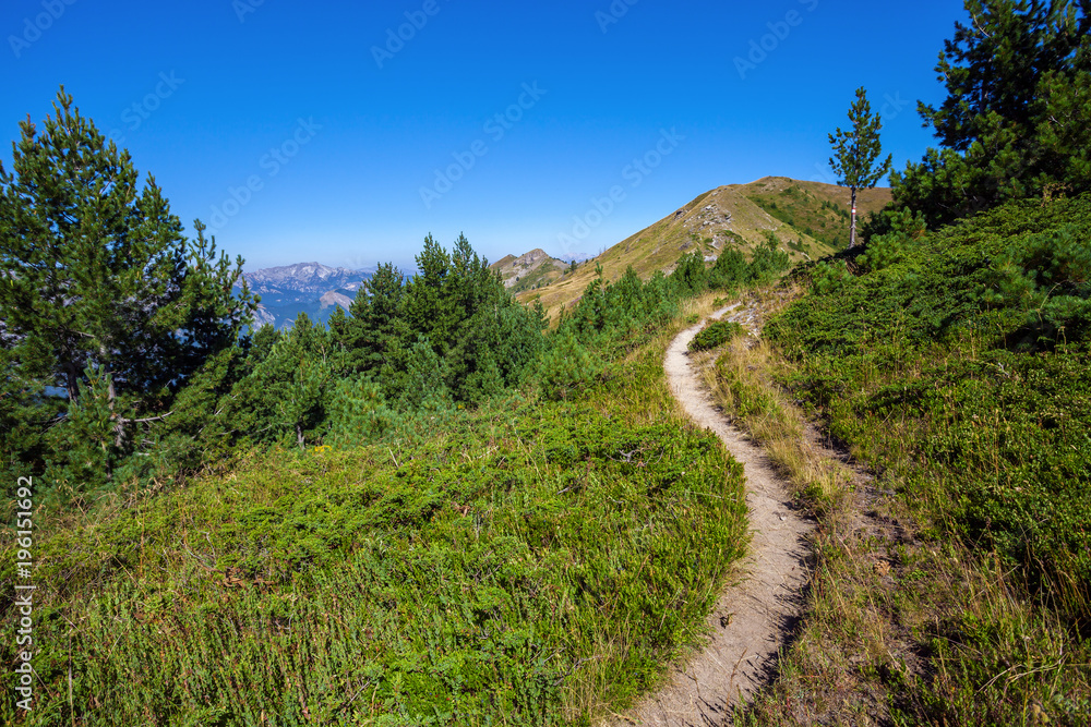 Narrow trail in the mountains 