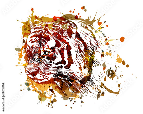 Fototapeta Naklejka Na Ścianę i Meble -  Vector color illustration tiger head