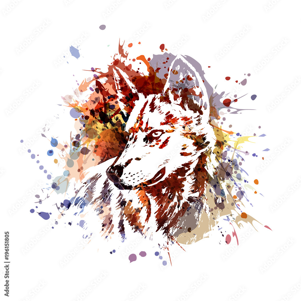 Obraz Wektorowa ilustracja wilcza głowa
