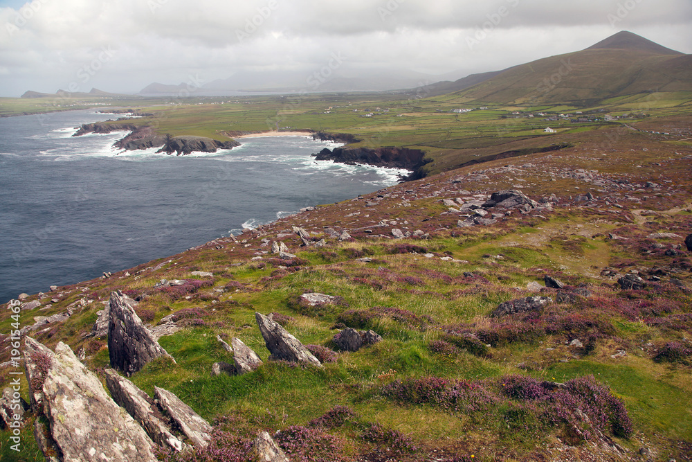Heather rocks on the irish coast Heather rocks on the irish coast