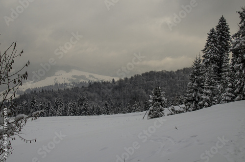 Okolice Pienin zimą  photo