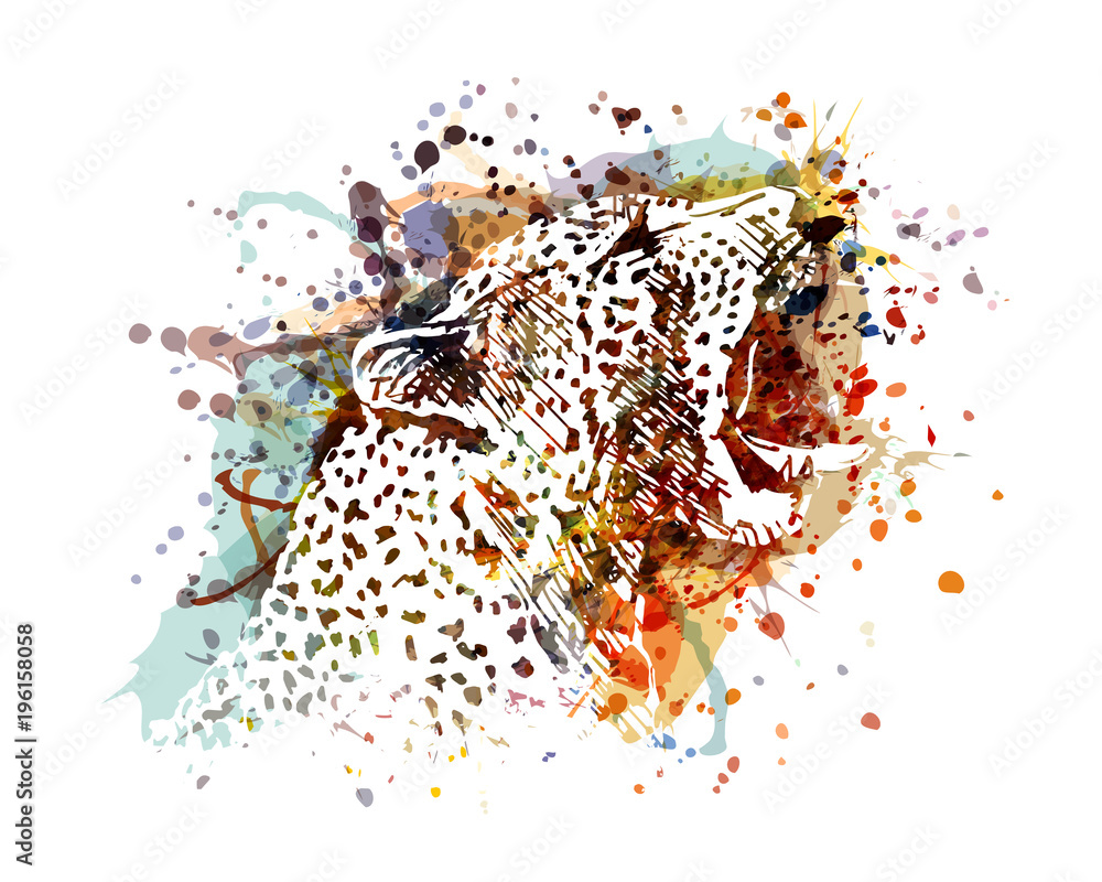 Obraz premium Vector illustration of a leopard head