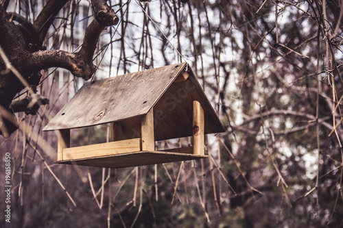 Bird feeder in spring park. Birdhouse on the willow. © alatielin