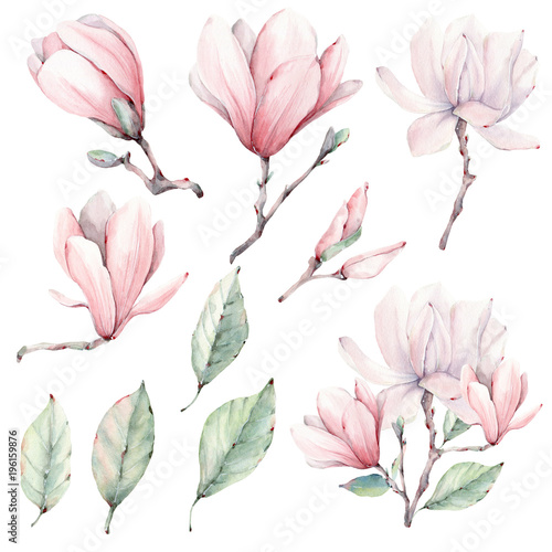 Obraz na płótnie Zestaw kwiatów akwarela magnolia