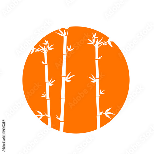 bambus im orangenem kreis