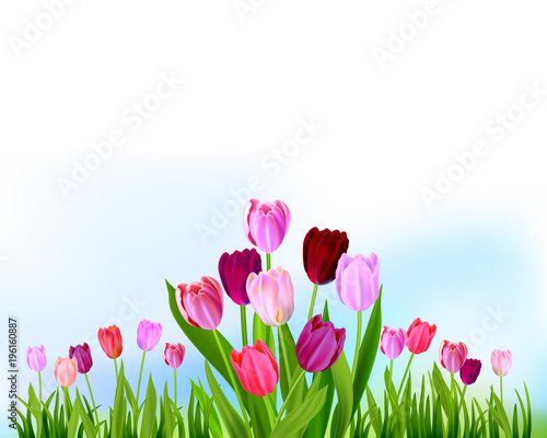 Floral Tulip spring banner