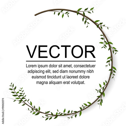 Floral vector card Design. Vector garden illustration.  photo