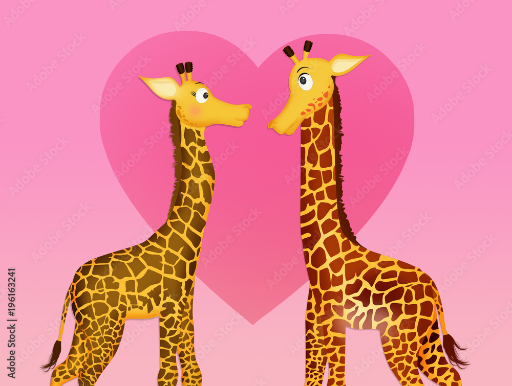 giraffe in love