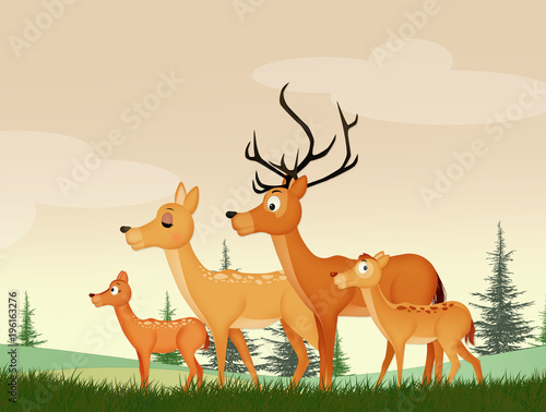 family of deer