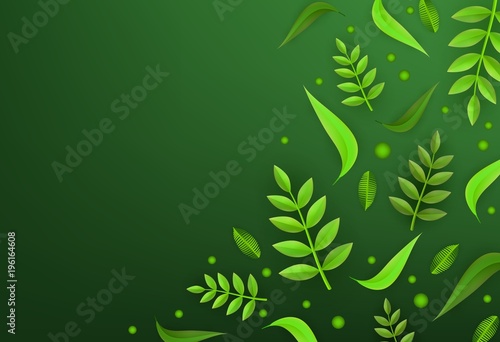 Vector green leaves frame background template. Abstract natural decoration pattern. Summer tropucal exotic jungle. Fern monstera paradise resort, holiday vacation, oraganic food poster illustration photo