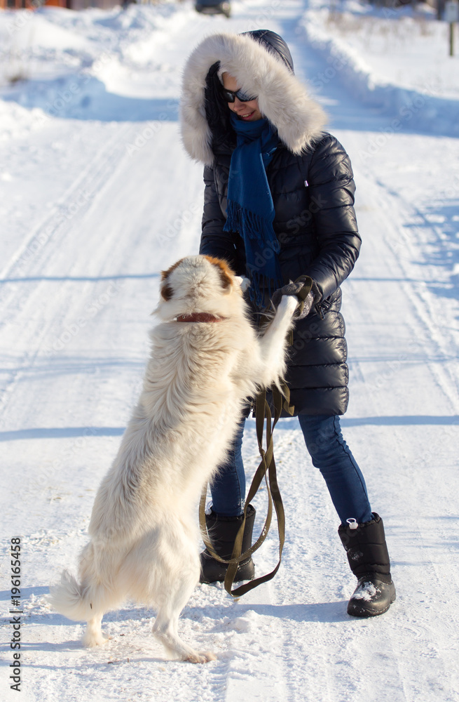 Girl with dog on snow in winter Girl with dog on snow in winter