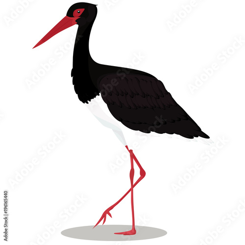 Black stork cartoon bird