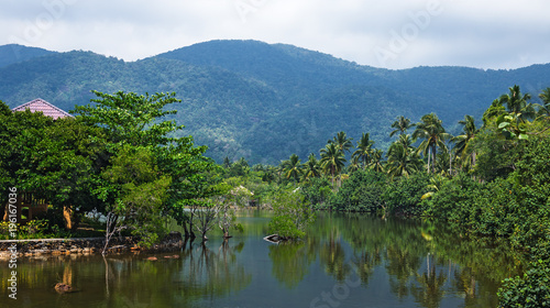 Lake in the jungles