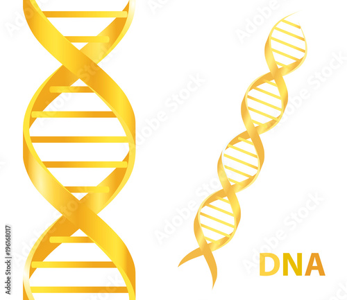 Gold Dna. Vector illustration on white background