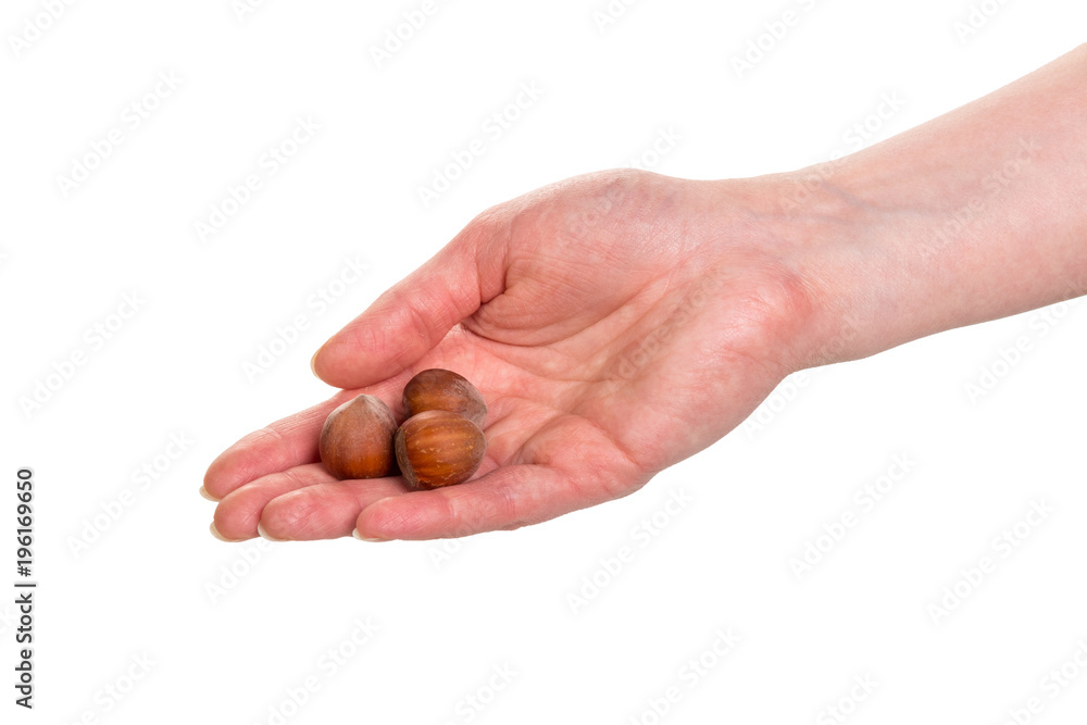 Three hazelnuts on female palm isolated on white Three hazelnuts on female palm isolated on white