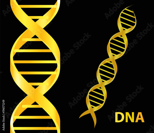 Gold Dna icon. Vector illustration on black background