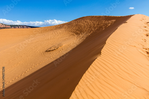 Coral Pink Sand Dunes 11