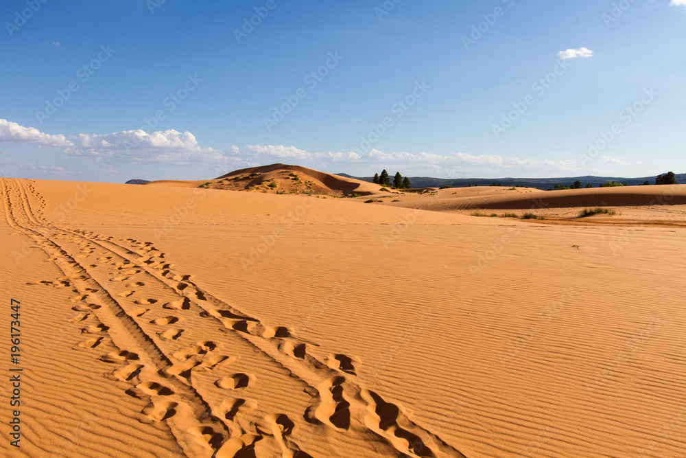 Coral Pink Sand Dunes 2