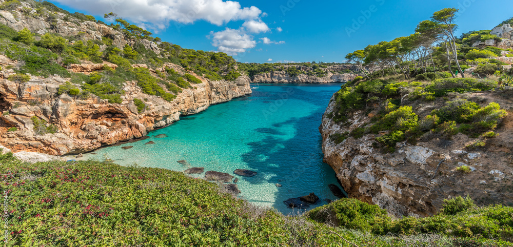 Panoramic view of Es calo des Moro beautiful beach. Pine trees shadows on the crystalline water. Clasified as one of the best beaches in the world. Located in Majorca, Balearic Islands, Spain.