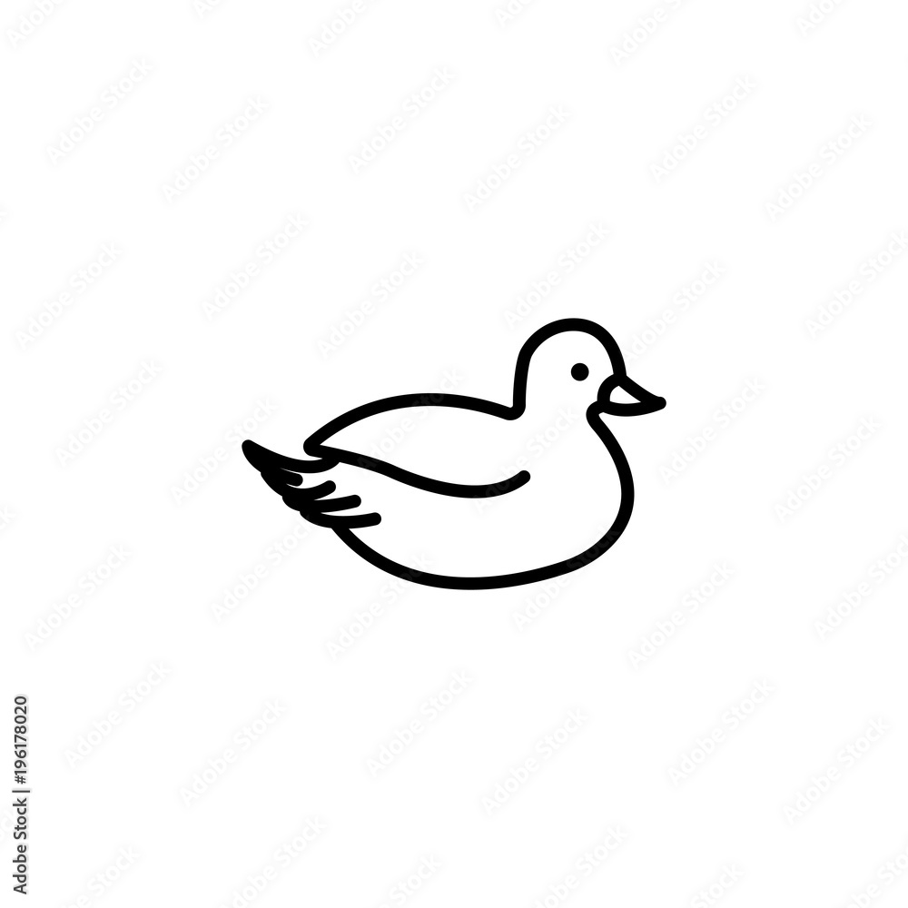 43 43
