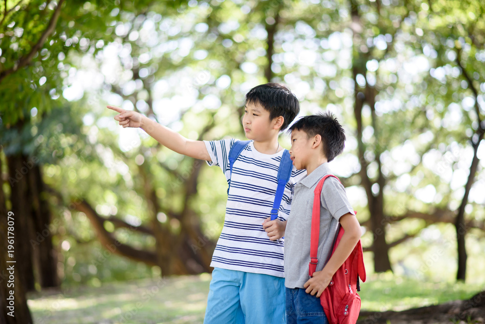 Preteen Asian boy travel in a forest in summer and learn about nature and tree. Preteen Asian boy travel in a forest in summer and learn about nature and tree.