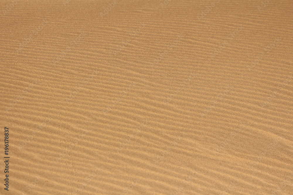 Naklejka premium Ripples in the beach dunes along the coast
