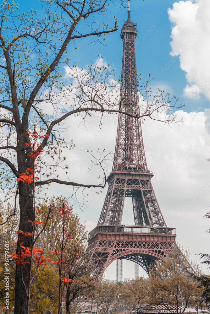 Eiffel tower in Paris with trees without many leaves in spring with red flowers, vertical photo