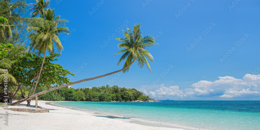 Naklejka premium Tropical beach panorama with a leaning palm tree, Bintan island near Singapore, Indonesia