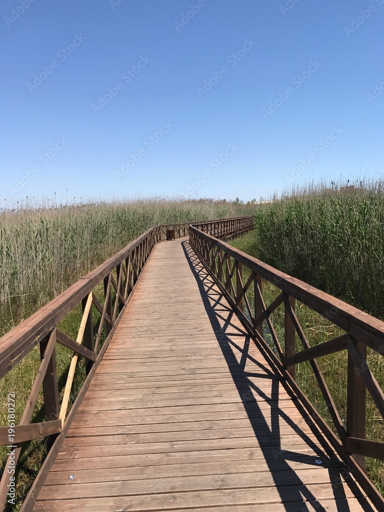 Bridge through Peniscolas nature
