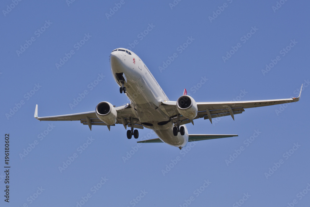 The passenger Boeing comes in the land The passenger Boeing comes in the land