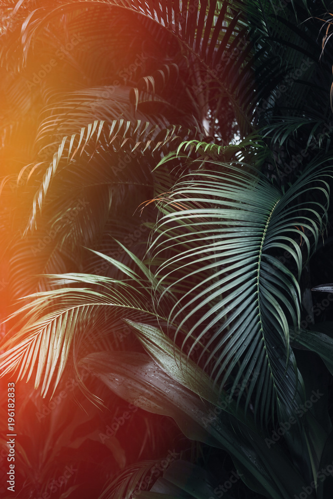 Fototapeta premium Deep dark green palm leaves pattern with bright orange sun flare effect. Creative layout, toned, vertical