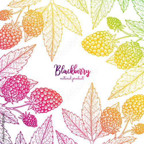 Colorful vector frame with blackberry. Healthy food design template with berries. Vegetarian food for label, packaging design, menu, cafe, restaurant, recipes, decoration kitchen items.